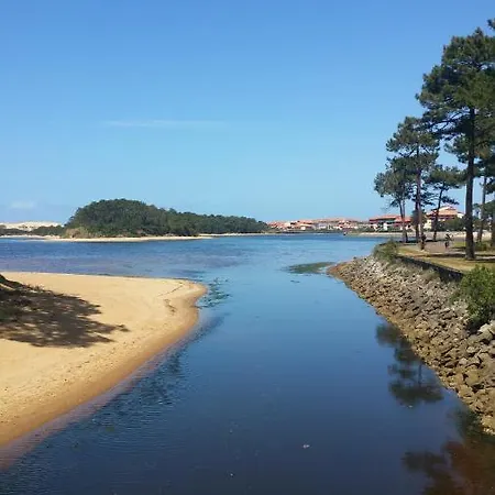 Carpe Diem - La Des Dom wakacyjny *