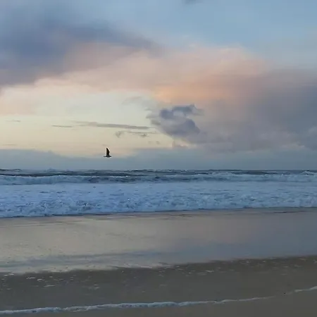 Dom wakacyjny Carpe Diem - La Des Soustons