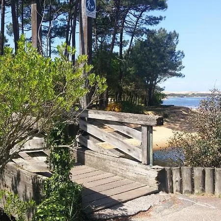 Carpe Diem - La Des Dom wakacyjny *