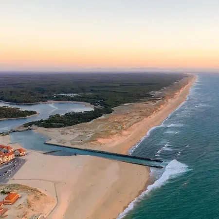 Carpe Diem - La Des *