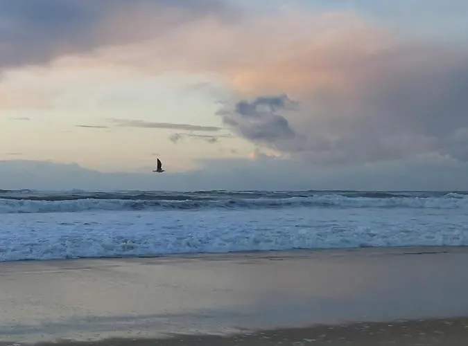 Tatil Evi Carpe Diem - La Des Soustons